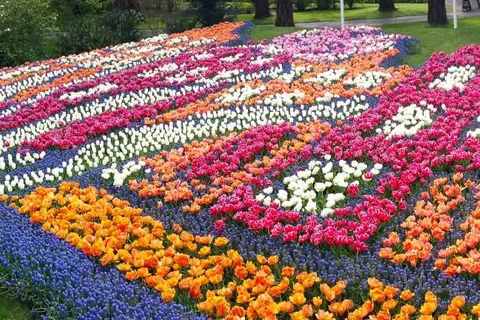 Hotel NH Noordwijk Conference Centre Leeuwenhorst foto 27