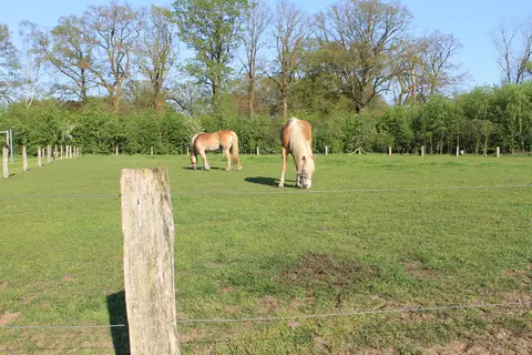 Camping Dal Van De Mosbeek in Mander — foto 19