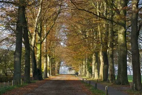 De Klomp-Charme Hotel en Restaurant foto 17