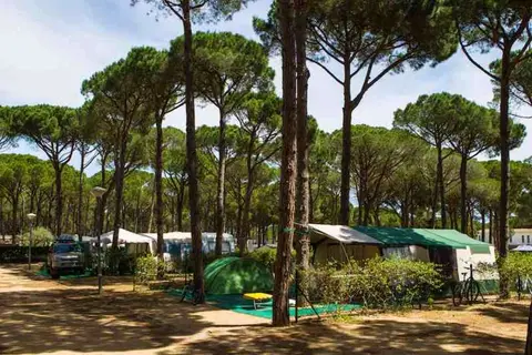 Cypsela Resort in Pals — foto 18