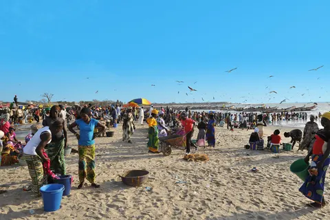 Rondreis Avontuurlijk Gambia & Senegal in Sneek — foto 13