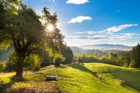 Vakantiepark Terme Snovik in Kamnik — foto 15