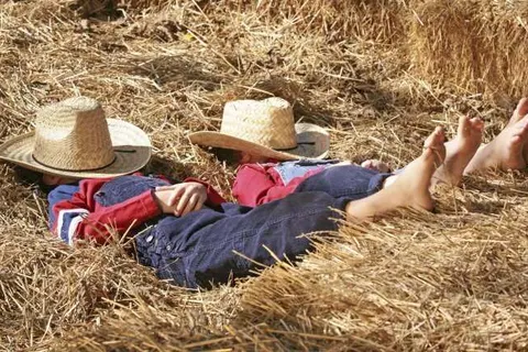 Vakantiepark De Lourenshoeve foto 11