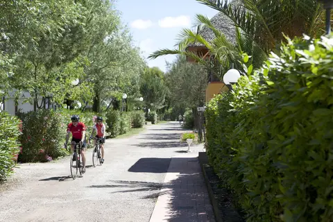 Free Time in Bibbona — foto 5
