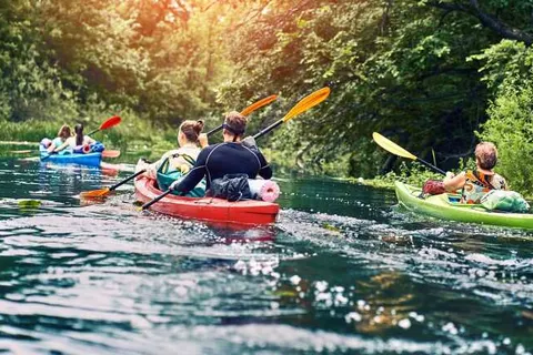 Park De Zeegser Duinen foto 14