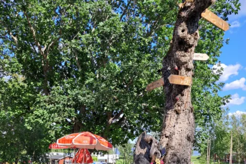 Camping Falkudden foto 7