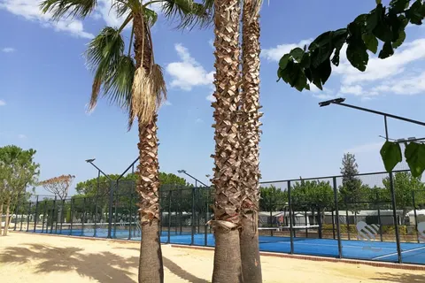 Camping El Pla De Mar foto 5