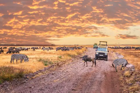 Tanzania Compleet in Tanzania — foto 3