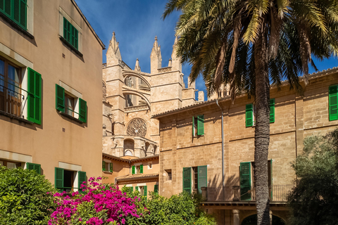 Hotel Palma Bellver by Melia foto 20