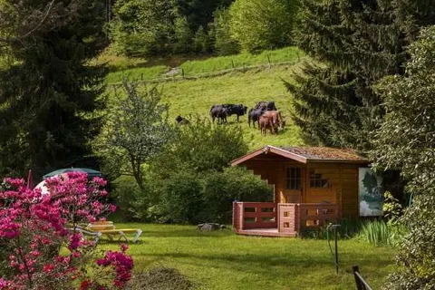 Holzschuh&ampapos;s Schwarzwaldhotel foto 31