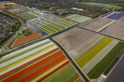 Van der Valk Palace Hotel Noordwijk foto 23