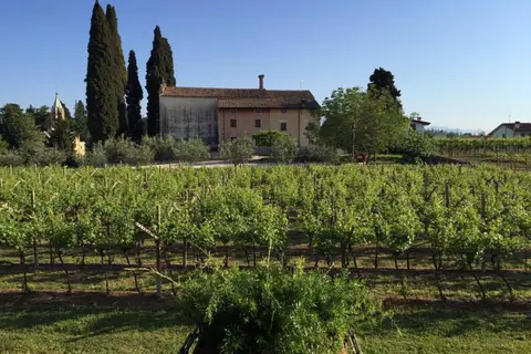 Villa dei Cedri S.P.A. in Colà di Lazise, foto 5