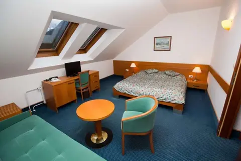 Kranjska Gora Hotel in Kranjska Gora — foto 14