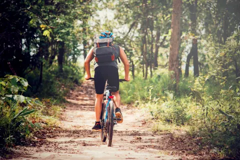 Camping Les Ajoncs D Or foto 29