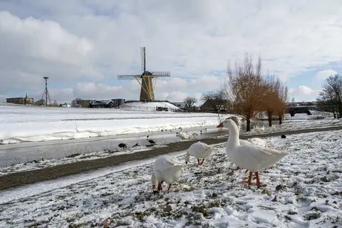 Maison ELLE Amsterdam foto 23