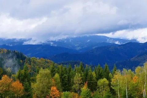 Landhotel Basler Hof foto 19