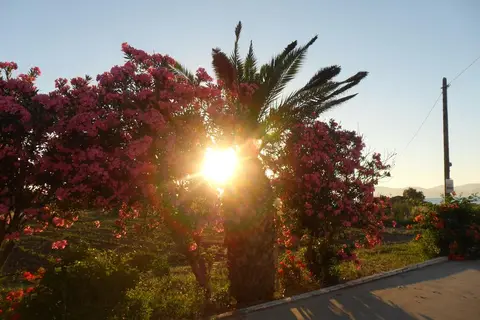 Miros Apartment Hotel in Tigaki, foto 30