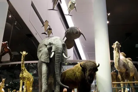 Tulip Inn Leiden Centre foto 20