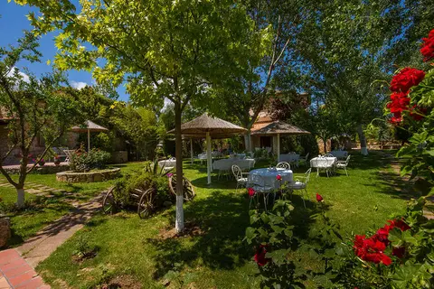 Petrino Eco Village in Δημοτική Ενότητα Κασσάνδρας — foto 22
