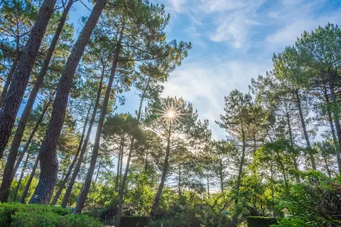 Camping Les Goélands in Arès — foto 9