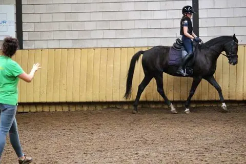 Horsetellerie Rheezerveen foto 8