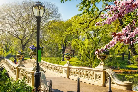 Discover the East Coast by Train foto 5