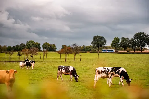 Zuid-Limburg en de buurlanden, Valkenburg foto 16