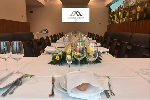 Sercotel Ciudad De Miranda Hotel in Miranda de Ebro — foto 25