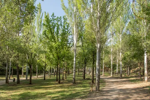 Camping Puente De Las Herrerías foto 13