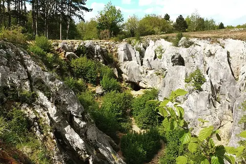 Verblijfpark Ardinam in Olloy-sur-Viroin — foto 32