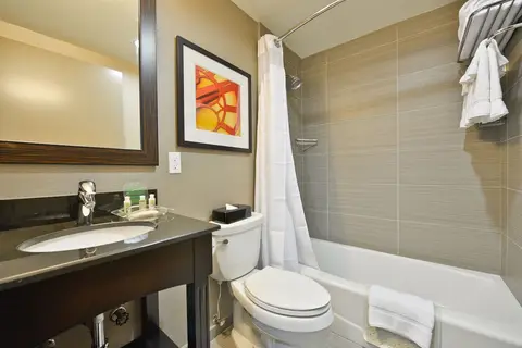 Holiday Inn NYC Lower East Side in New York City — foto 23