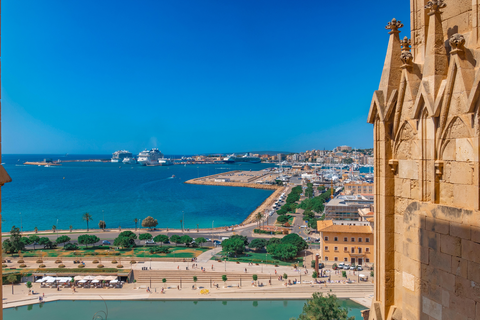 Hotel Palma Bellver by Melia foto 9