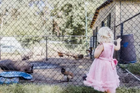 Camping Siësta foto 18