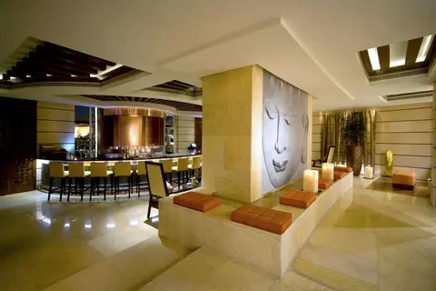 Raffles Dubai in Dubai — foto 7
