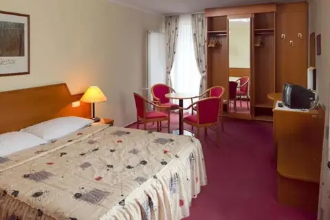 Hotel Alpina in Kranjska Gora, foto 9