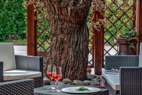 Park Hotel Junior in Quarto d'Altino, foto 16