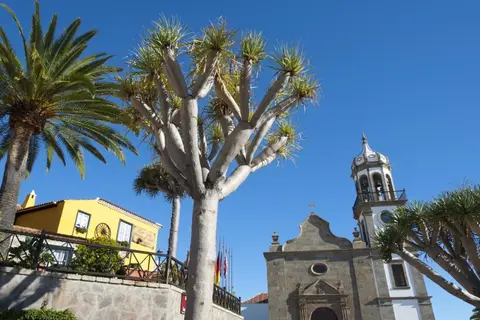 Rural Senderos de Abona in Granadilla de Abona — foto 11