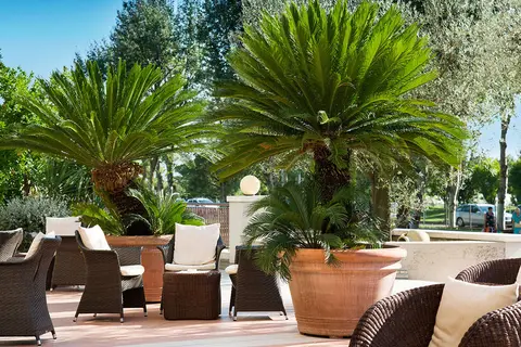 Savoy Beach Hotel & Thermal Spa in Bibione, foto 8