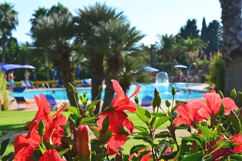 Lantana Resort Hotel & Apartments in Pula — foto 26