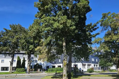 Hotel Altastenberg foto 1