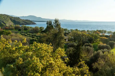 Delfinia in Molyvos — foto 16
