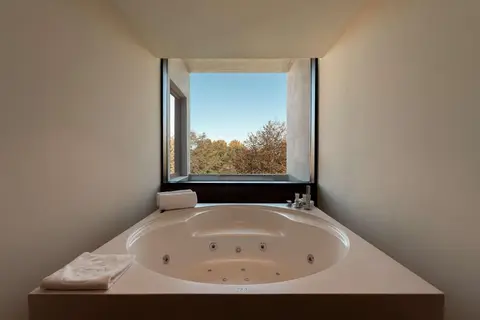 Boeira Garden Hotel Porto Gaia, Curio Collection by Hilton in Vila Nova de Gaia, foto 25