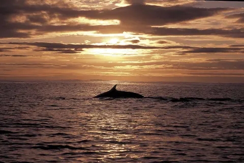 IJsland in vogelvlucht foto 13