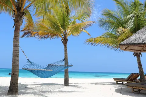 Perfect Match Kenya and Tanzania foto 5