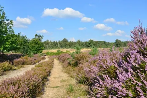 Landgoed De Uitkijk foto 25