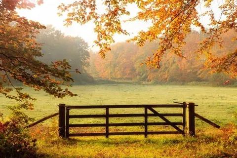 Landgoed Halsaf foto 25