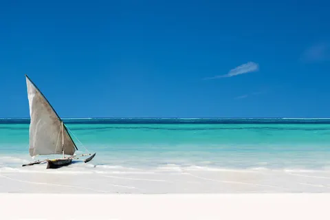 A Wildlife Adventure in Tanzania and Zanzibar foto 5