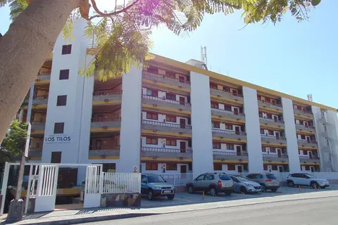 Apartamentos Los Tilos in San Bartolomé de Tirajana — foto 8
