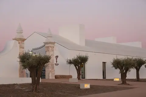 Torre de Palma Wine Hotel in Monforte — foto 5