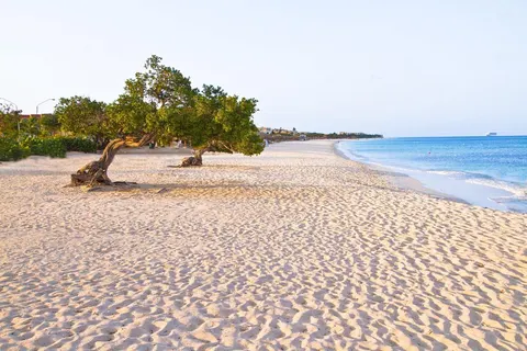 Amsterdam Manor Beach Resort foto 5